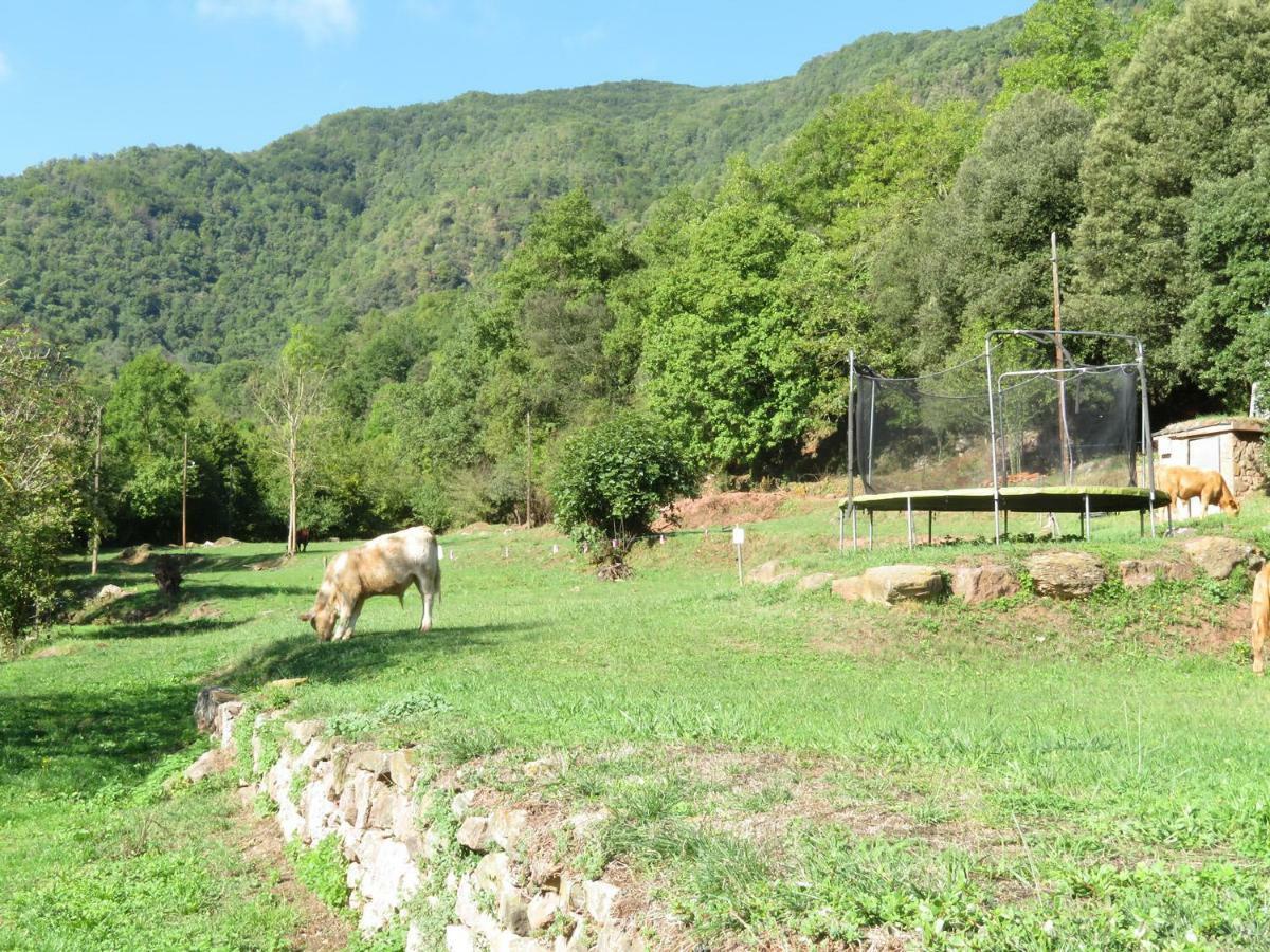 El Paller del Molí de la Plana Riudaura Exterior foto